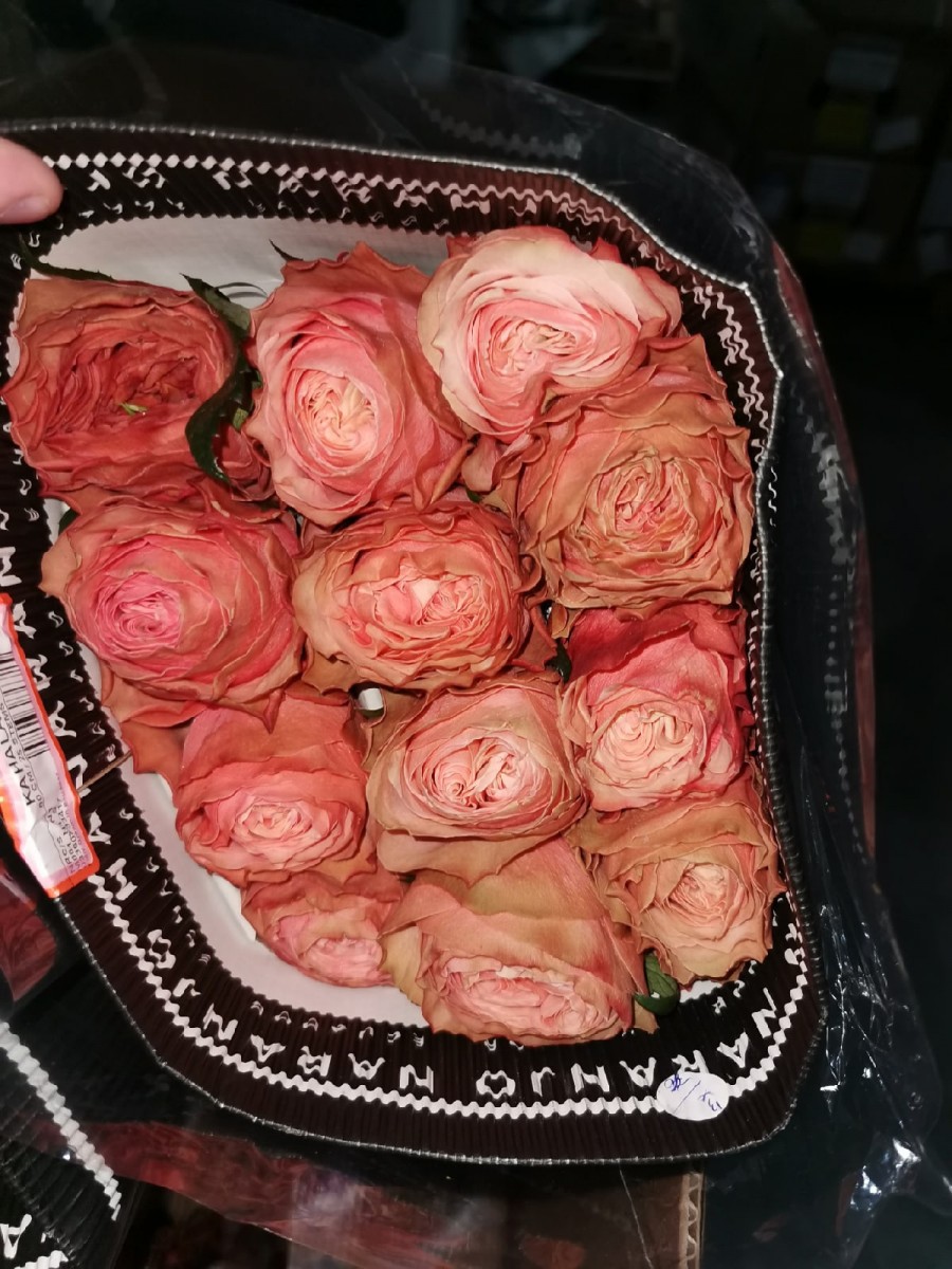 розы Эквадор оптом